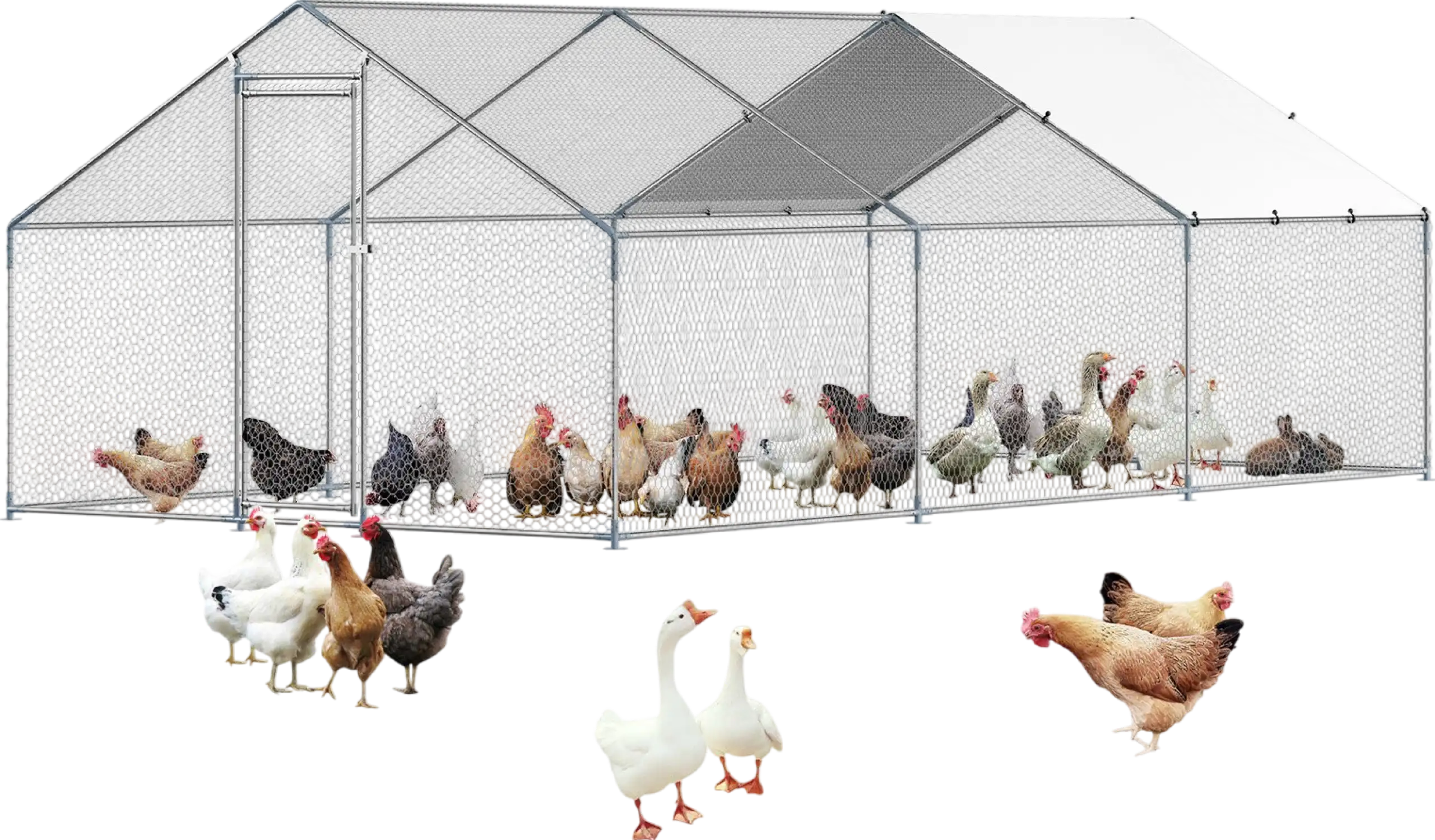 Vevor Walk-In Metal Chicken Coop 9.8' x 19.6' x 6.5' with Vevor Walk-In Metal Chicken Coop 9.8' x 19.6' x 6.5' with