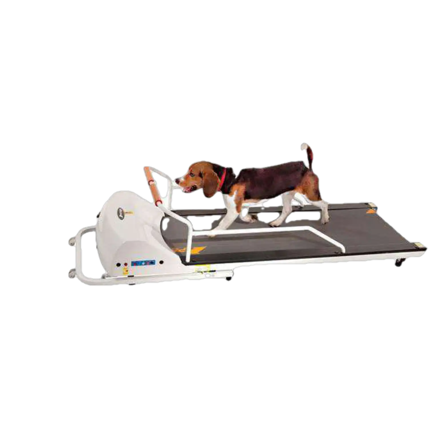 洋楽 Rup Dog GoPet PR720F PetRun up to 132 pounds Small Medium Dog