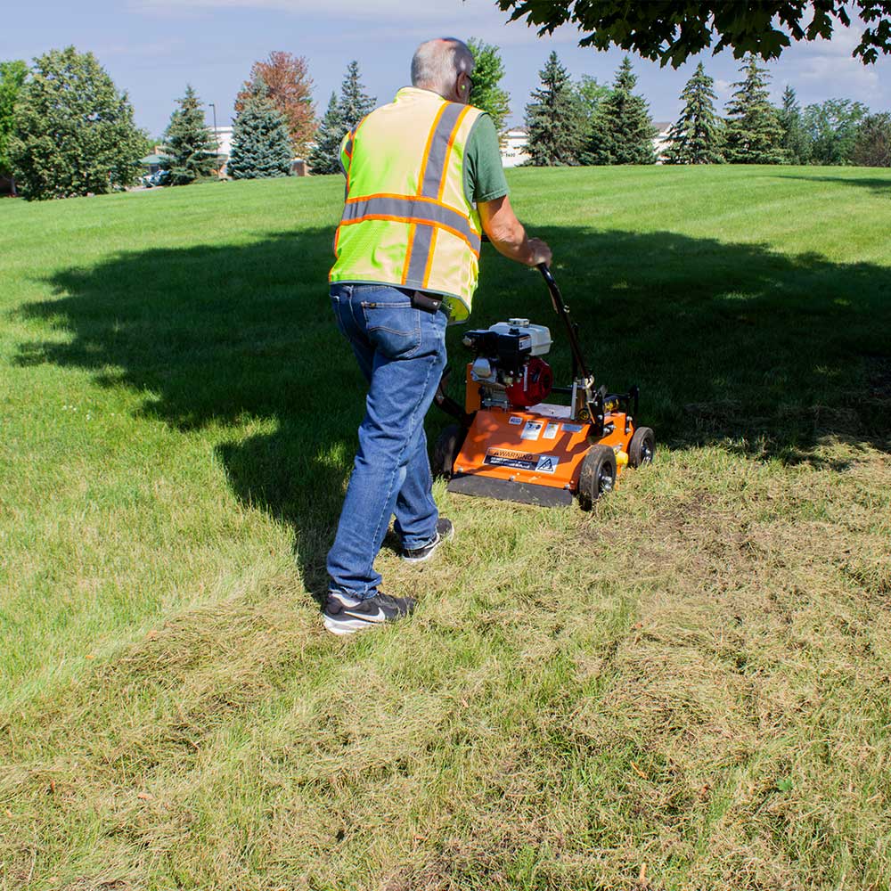 Brave Power Rake Dethatcher 20 in. Width 5.5 HP Honda GX160 Engine BRPPD20H New
