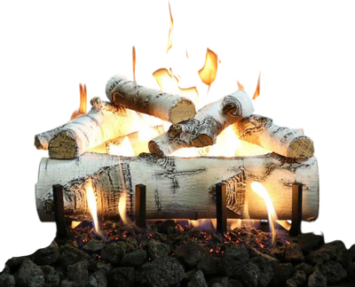 Grand Canyon Vented Gas Log Set 24