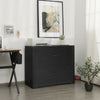 2-Drawer Lateral File Cabinet with Adjustable Bars for Home and Office-Black - Gallery View 1 of 11