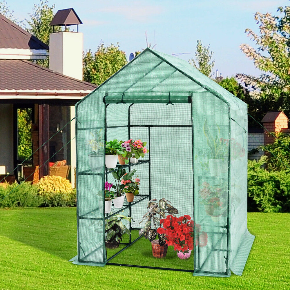 Walk-in greenhouse with observation windows, 56 x 56 x 77 inches, featuring 8 shelves for plants and a roll-up door.