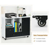 Lateral mobile filing cabinet in black with 2 drawers, 2 shelves, and 4 casters for easy transport and stability.