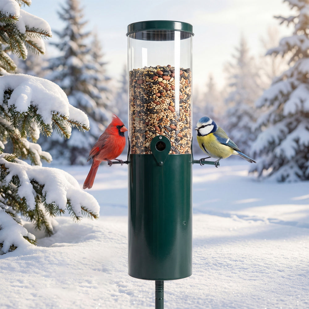 Large squirrel-proof bird feeder with 10 lbs capacity, featuring four perches, in a winter setting with birds.