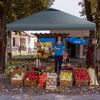 Foldable 10 x 10 feet gray outdoor pop-up canopy with waterproof fabric, ideal for beach parties and picnics.