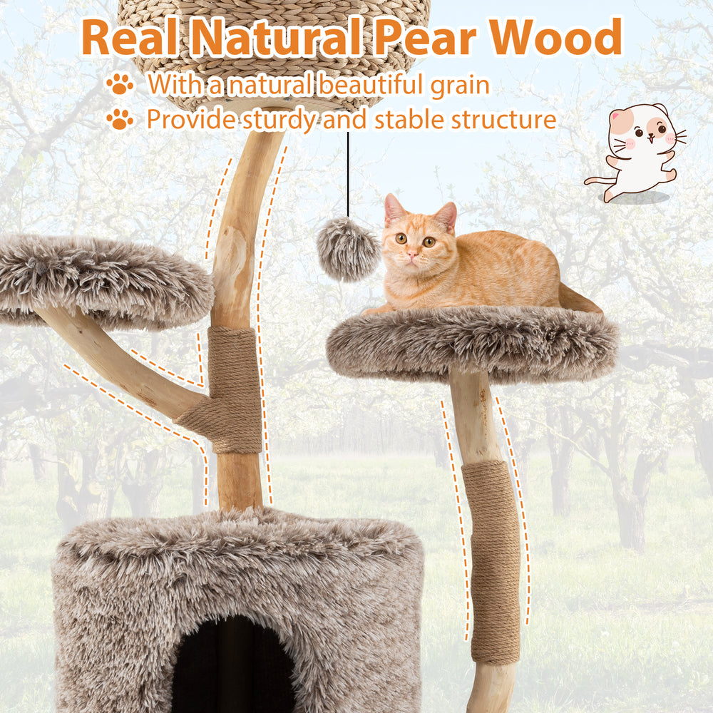 Wood cat tree made of natural pear wood with plush perch, sisal scratching posts, and a cozy condo for relaxation.