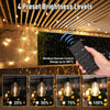 Yescom Dusk-to-Dawn Dimmer & Timer Remote Control New