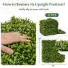 Artificial boxwood panel set of 12 pieces, each 20" x 20", ideal for DIY green wall backdrops and privacy screens.