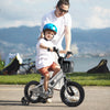12 Inch Kids Bike Adjustable with Transparent Chain Cover for 3-4 Years Old - Gallery View 1 of 10