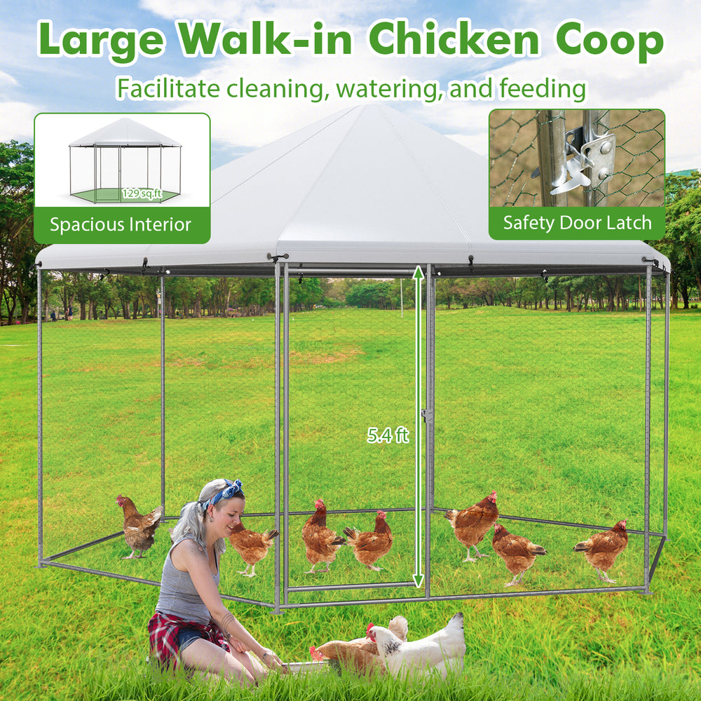 Large hexagonal chicken coop with wire mesh and lockable door, designed for 15-30 chickens, providing secure outdoor.