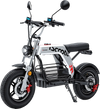 iScooter DX5Pro Electric Scooter with Seat 2000W Motor