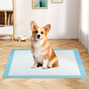 Corgi sitting on a 24 x 36 inch pet wee pee pad, made of soft non-woven fabric for effective training and cleanliness.