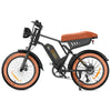 isinwheel R6 Off Road Retro Electric Bike - studio side view