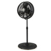 16-inch oscillating pedestal fan in black with adjustable height, 3 mist levels, and 90° oscillation for outdoor use.