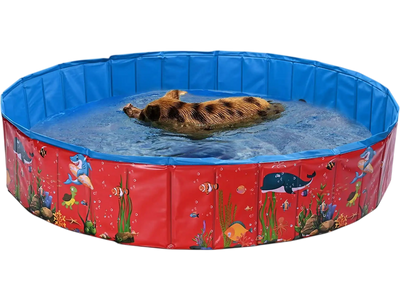 Yescom Foldable Pool 63 x 12 in. Nemo Red New