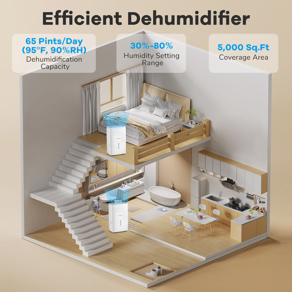 65 pints dehumidifier with LED display, 24-hour timer, and large water tank for efficient humidity control in homes.