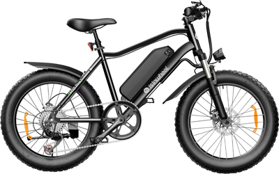 isinwheel M10 Pro Electric Bike 1000W 22 MPH 55 Mile Range 36V New