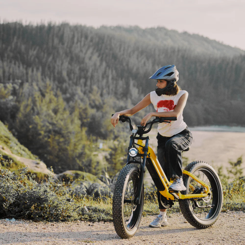 Cycrown Roma ST Electric Bike All-Terrain Step-Through Frame 1500W 28 MPH 90 Mile Range 48V New