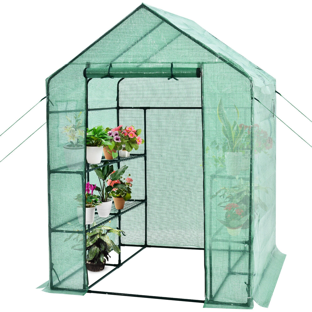 Walk-in greenhouse with observation windows, 56 x 56 x 77 inches, featuring a roll-up door and 8 shelves for plants.