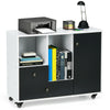 Lateral mobile filing cabinet in black with 2 drawers, 2 shelves, and wheels for easy mobility in office or home use.