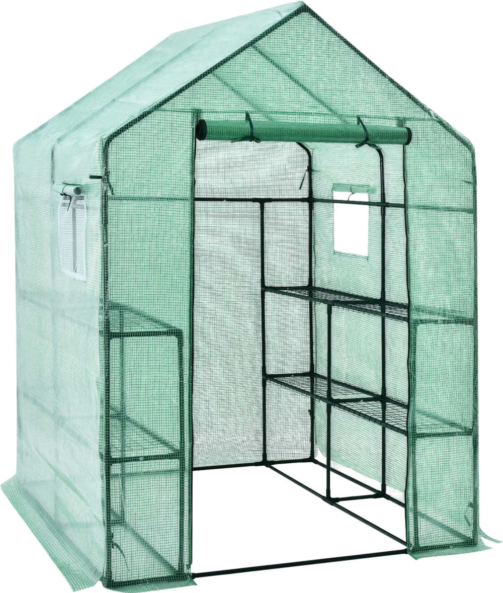 Walk-in greenhouse with observation windows, 56 x 56 x 77 inches, featuring a roll-up door and eight shelves for plants.