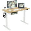 Costway Electric Standing Desk Adjustable 48" with Control Panel and USB Port New
