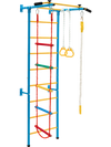 Indoor kids gym with wall ladder, pull-up bar, and gymnastic rings for fun and fitness, made of rust-resistant carbon.