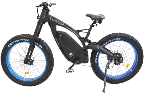 Ecotric Bison E-Bike 48V 17.5AH 1000W 25 MPH Big Fat Tire Blue NS-SON26LCD-BL New