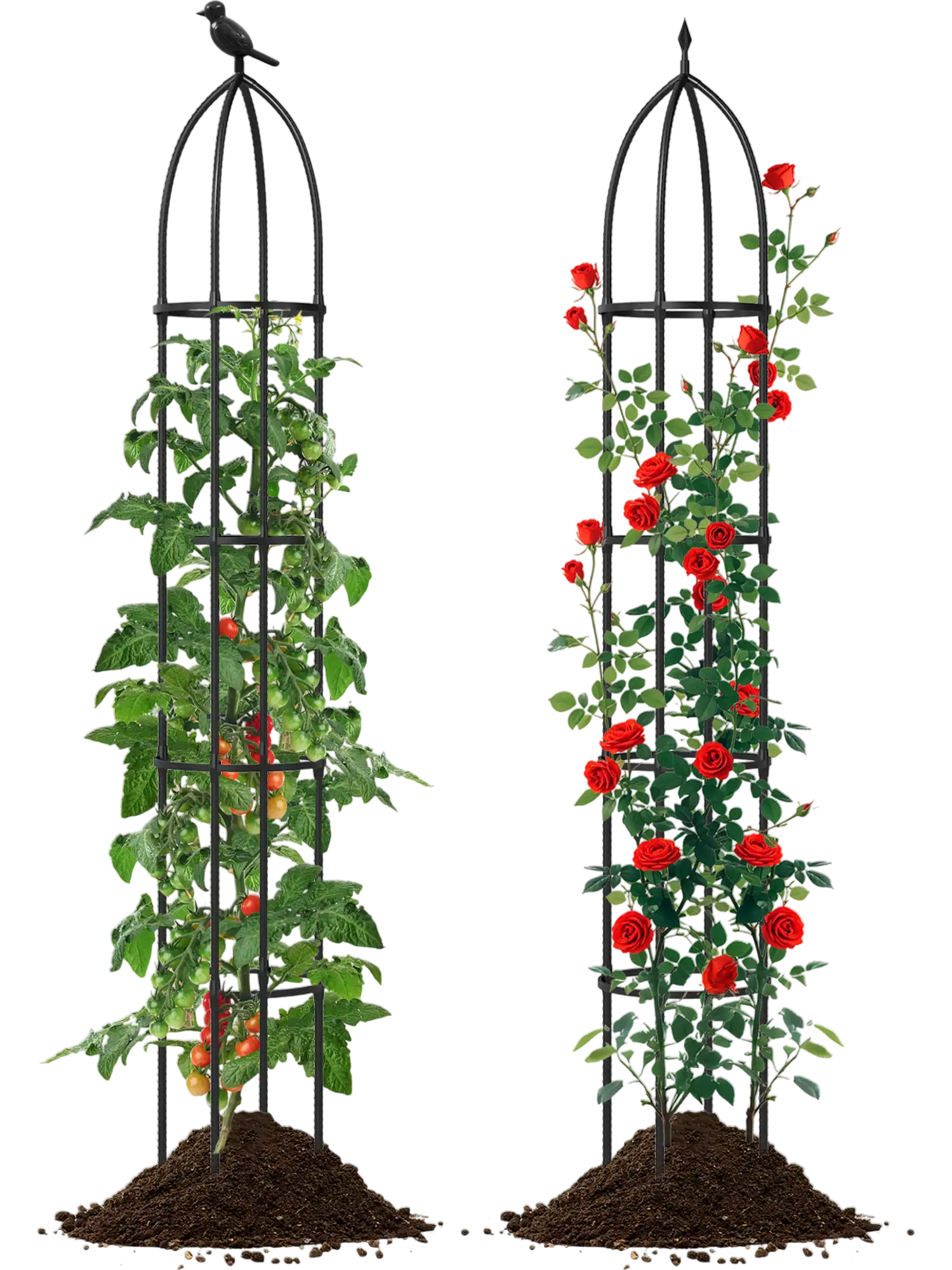 Costway 2-Pack Garden Obelisk Trellis for Climbing Plants 31875926 New