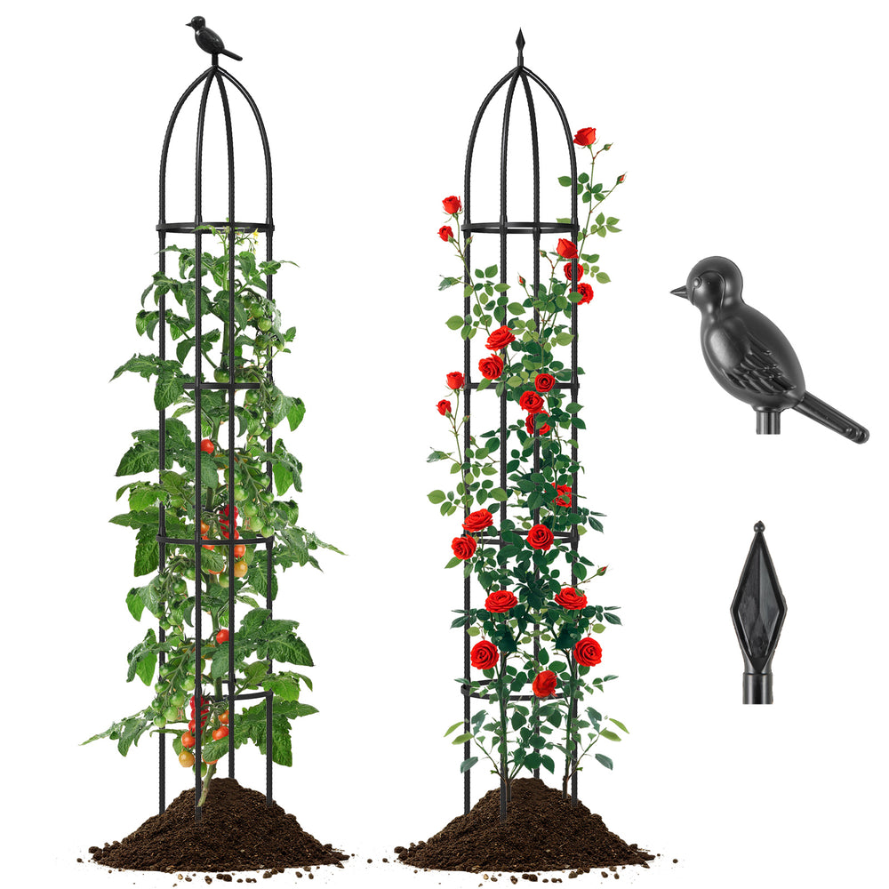 Black garden obelisk trellis set for climbing plants, featuring sturdy metal construction and decorative bird heads.