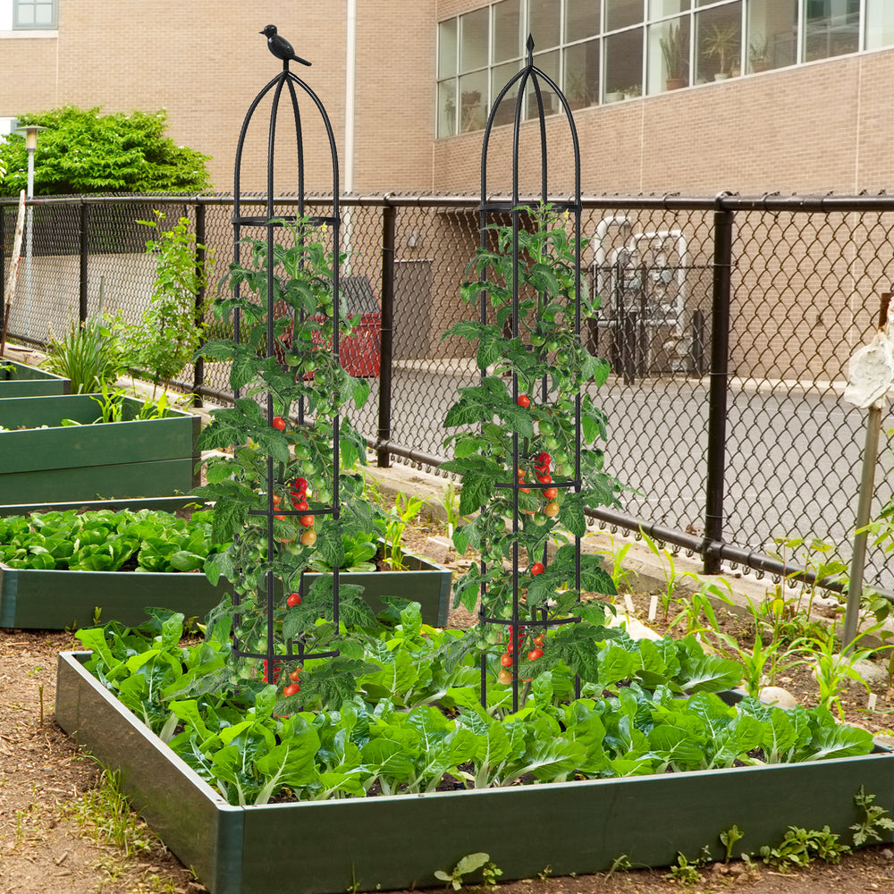 Black garden obelisk trellis set for climbing plants, featuring sturdy PE-coated metal and adjustable height options.