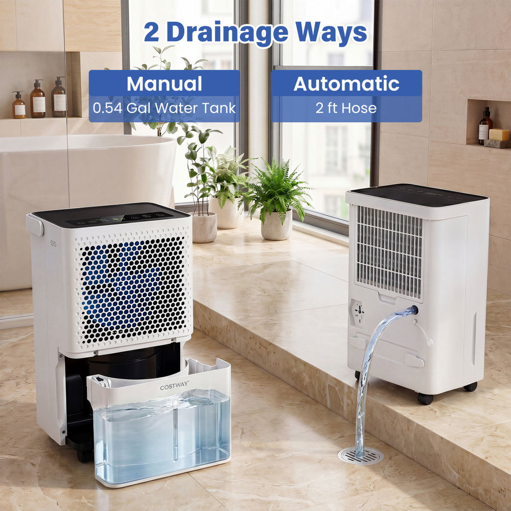 2000 Sq.Ft 32 Pint Compressor Dehumidifier with a 0.54-gallon tank and 2 ft hose for efficient moisture control.