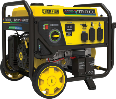 Champion 201169 6500W/8125W Generator Tri-Fuel Gas Propane Natural Gas CO Shield Electric Start New