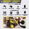 Champion 201414 13500W/16875W Generator Gas 50A CO Shield Electric Start New