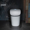 WOODBRIDGE B0931S Smart Bidet Toilet Dual Flush 1.1/1.6 GPF Auto Open Close Voice Control New