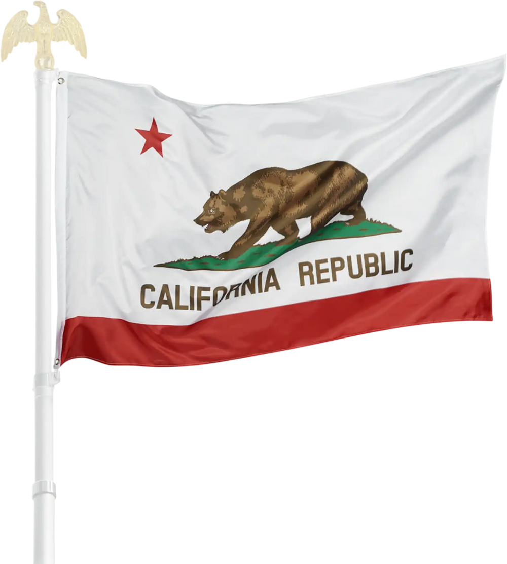 Yescom California Republic Bear Flag Polyester 3x5 ft Double-Sided New