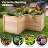 L-shaped 24-inch wooden raised garden bed made of natural fir, ideal for planting fruits, herbs, and flowers.