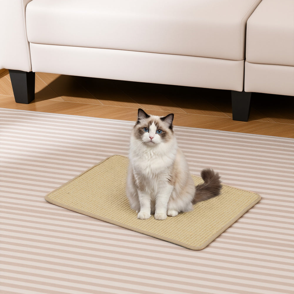 24 x 16 Inch 6-Piece Cat Scratcher Mat Set - Gallery View 1 of 10