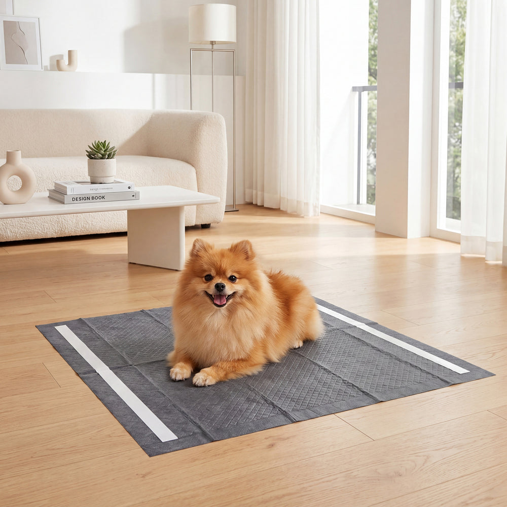 Charcoal dog pee pad in a living room setting, featuring a 6-layer design for superior absorption and leak prevention.