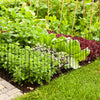 Decorative garden fence set with a rustproof metal frame, ideal for protecting plants from pets and ensuring stability.