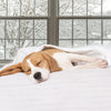 Cozy massage table warmer with 5 heat settings, auto-off safety feature, perfect for full-sized massage tables.