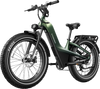 Nomad Pro Fat Tire Ebike