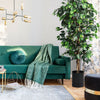 6 feet artificial Ficus silk tree with realistic leaves in a stylish pot, perfect for home or office decor.