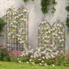 Set of 2 metal garden trellises with elegant arch tops, ideal for supporting climbing plants and enhancing garden style.