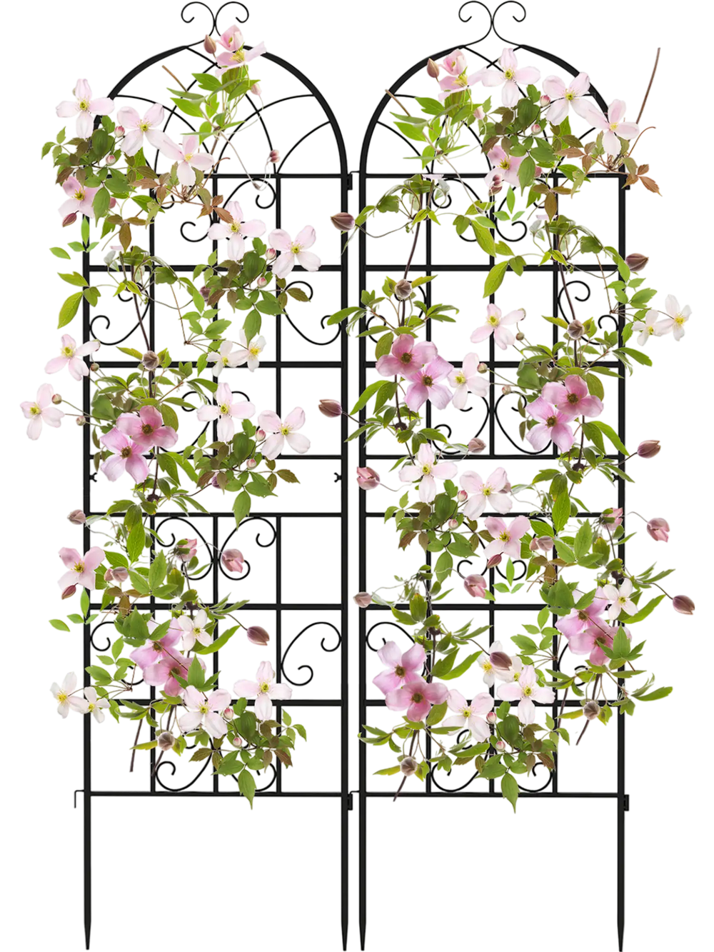 Metal garden trellis set of 2, 71 x 20 inches, with butterfly pattern, ideal for supporting climbing plants and vines.