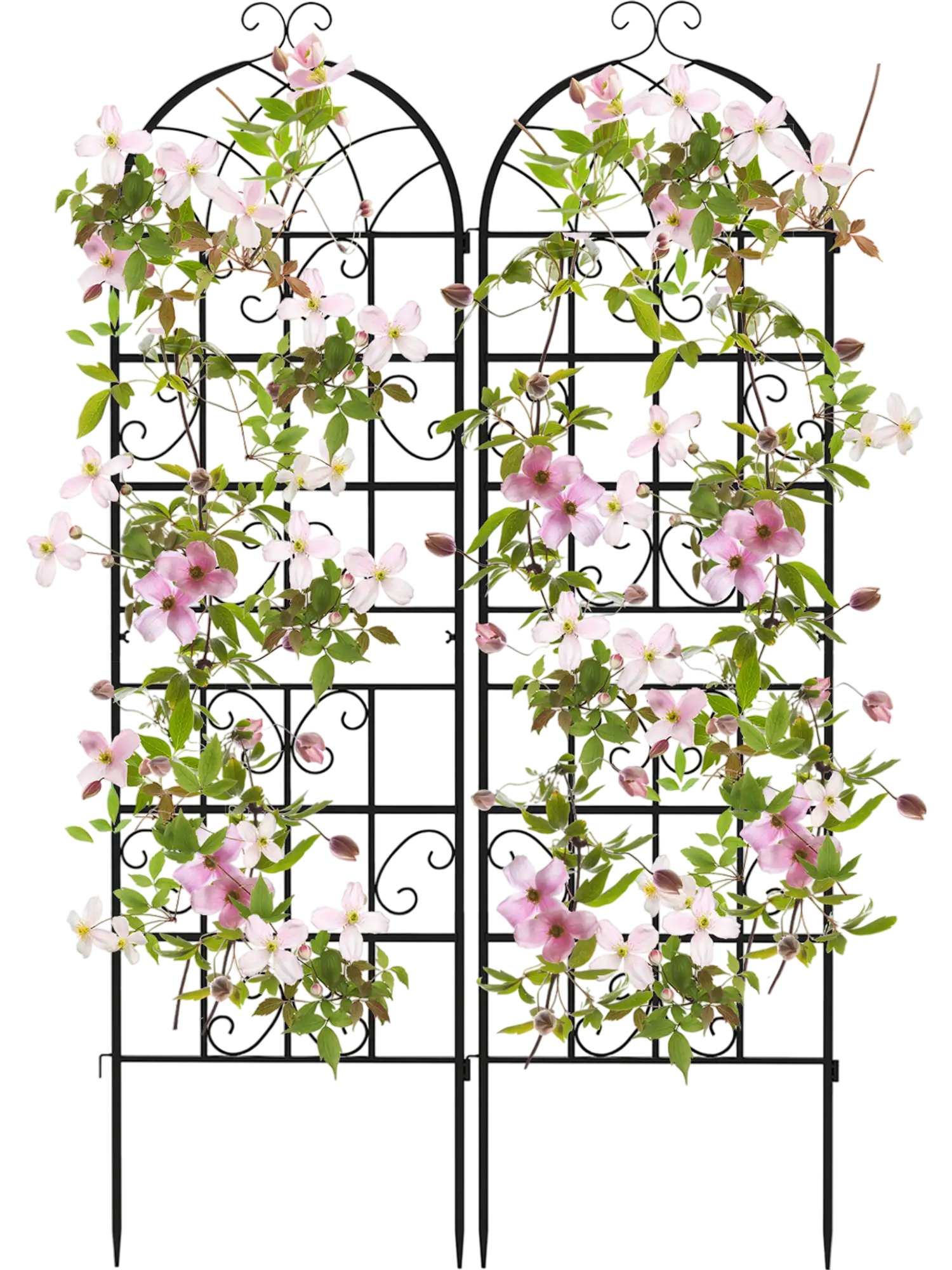 Costway 71 x 20