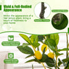 Artificial lemon tree with vibrant leaves and realistic trunks, 2.6 ft tall, perfect for indoor decoration.