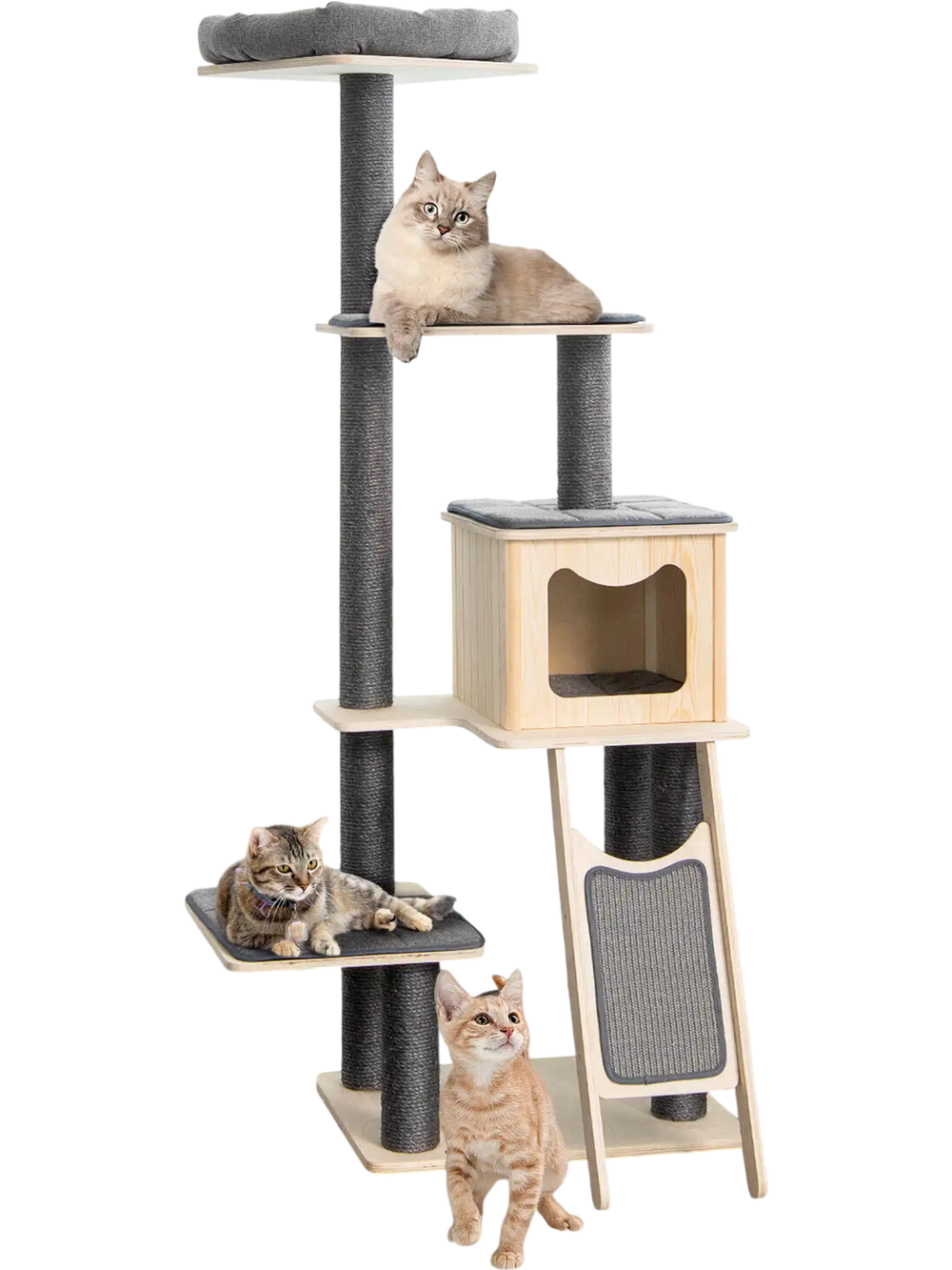 5-tier modern wood cat tower with washable cushions, featuring a large condo and multiple platforms for climbing and.