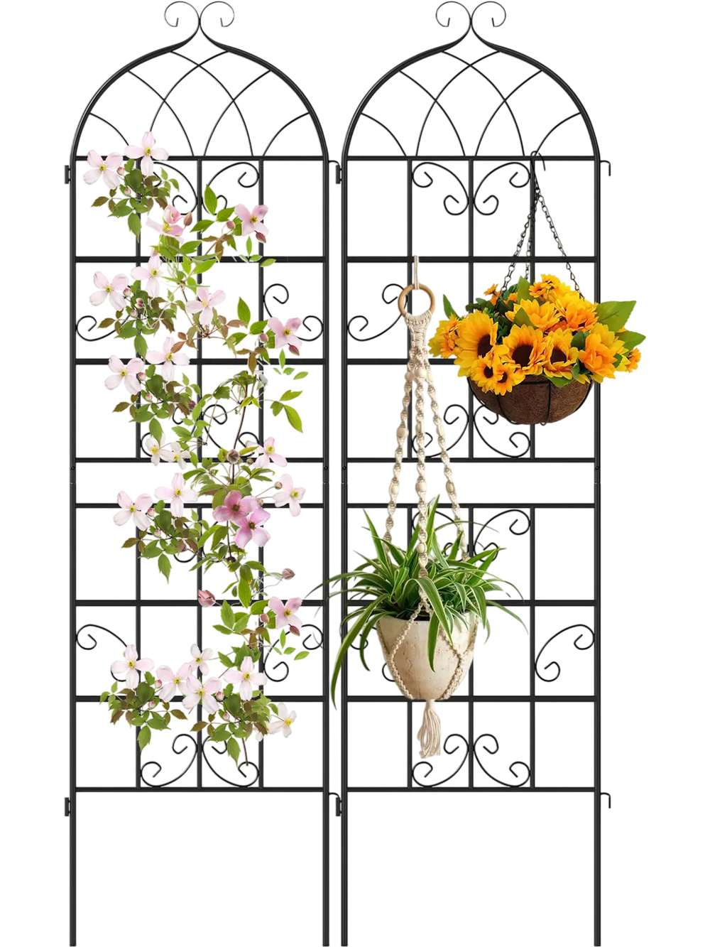 2 Pack 71" x 20" Metal Garden Trellis for Outdoor Climbing Plants