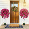 Two pack of artificial azalea trees with vivid blooming flowers, perfect for indoor decoration by the front door.